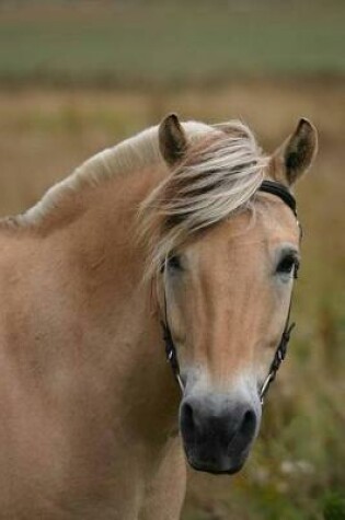 Cover of The Norwegian Fjord Horse Journal