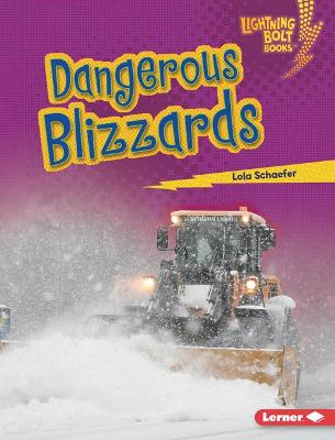 Book cover for Dangerous Blizzards