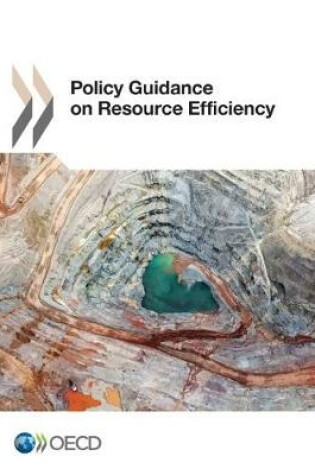 Cover of Policy Guidance on Resource Efficiency