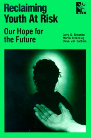 Cover of Reclaiming Youth at Risk