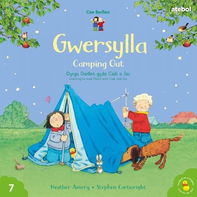 Book cover for Cyfres Cae Berllan: Gwersylla / Camping Out