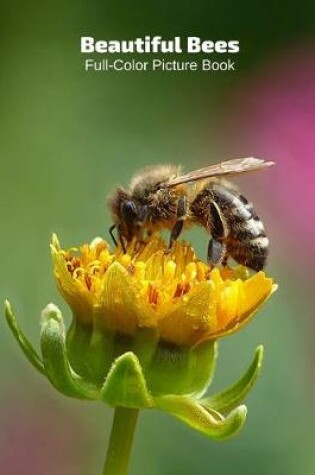 Cover of Beautiful Bees Full-Color Picture Book