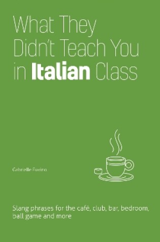 Cover of What They Didn't Teach You In Italian Class