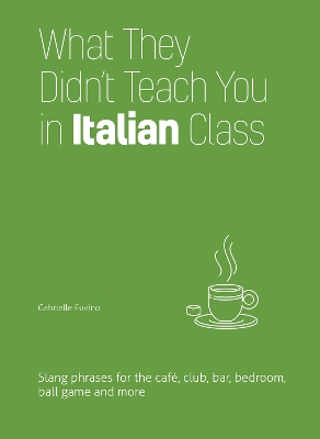 Book cover for What They Didn't Teach You In Italian Class