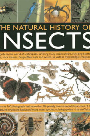 Cover of Natural History of Insects