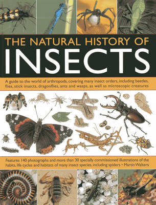 Book cover for Natural History of Insects