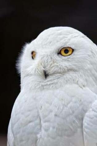 Cover of Snowy Owl Bird Journal