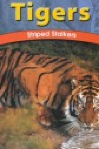 Cover of Tigers