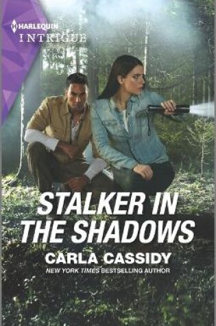 Cover of Stalker in the Shadows