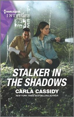 Book cover for Stalker in the Shadows