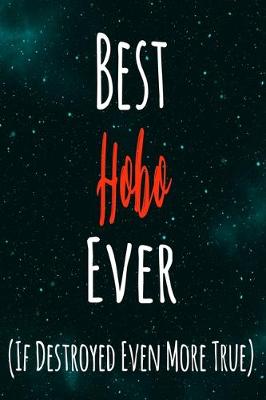Book cover for Best Hobo Ever (If Destroyed Even More True)