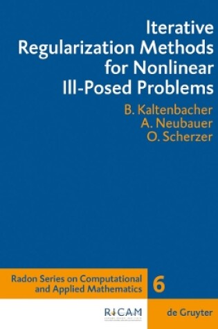 Cover of Iterative Regularization Methods for Nonlinear Ill-Posed Problems