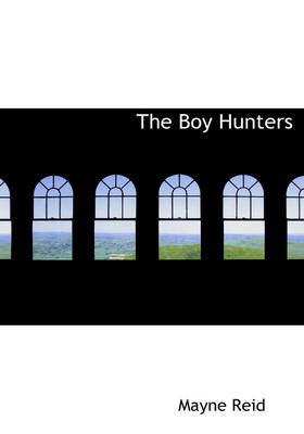 Book cover for The Boy Hunters
