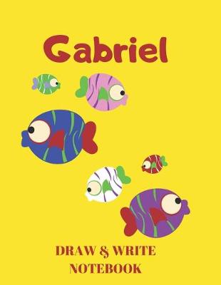 Book cover for Gabriel Draw & Write Notebook