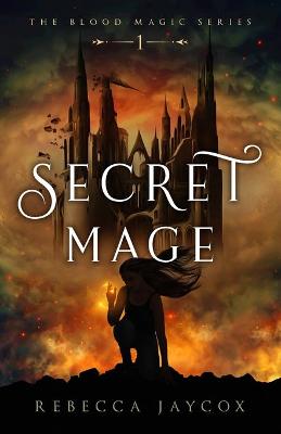 Cover of Secret Mage