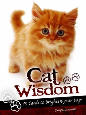 Book cover for Cat Wisdom Cards