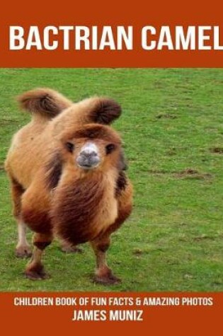 Cover of Bactrian Camel