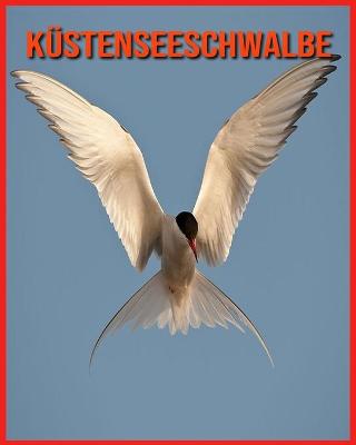 Book cover for Küstenseeschwalbe