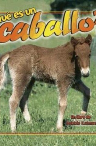 Cover of Que es un Caballo?