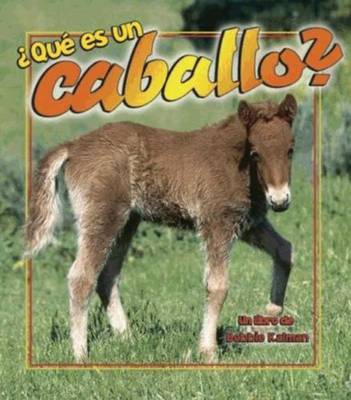 Book cover for Que es un Caballo?