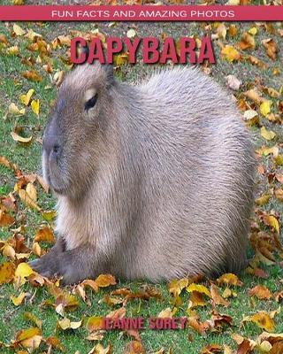 Book cover for Capybara