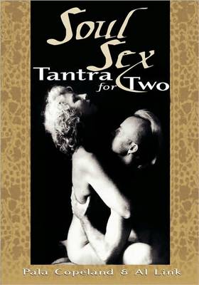 Book cover for Soul Sex