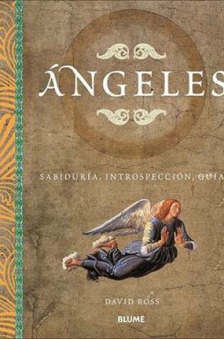 Cover of Angeles