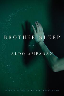 Book cover for Brother Sleep