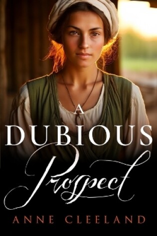 Cover of A Dubious Prospect