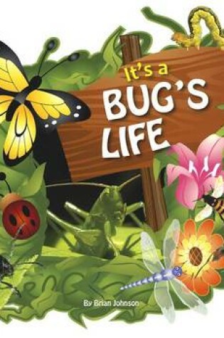 Cover of It's a Bug's Life