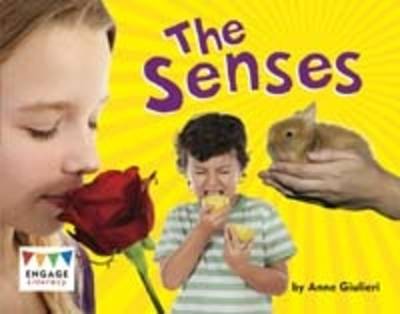 Book cover for The Senses