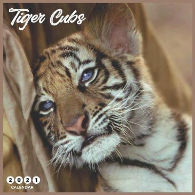 Book cover for Tiger Cubs 2021 Calendar