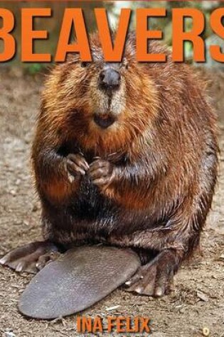 Cover of Beavers