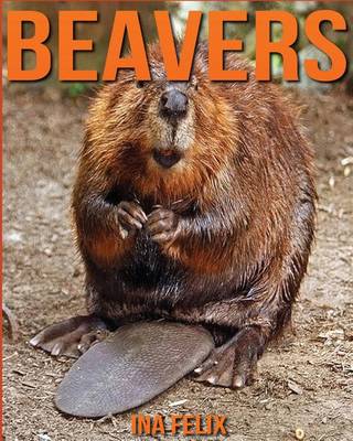 Book cover for Beavers