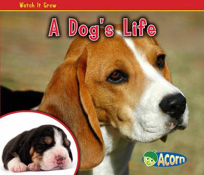 Book cover for Watch it Grow Dogs Life