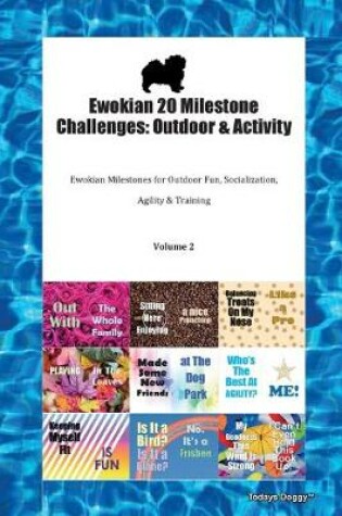 Cover of Ewokian 20 Milestone Challenges