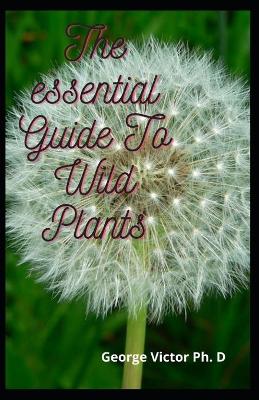 Book cover for The essential Guide To Wild Plants