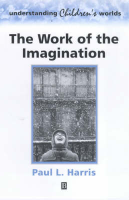 Book cover for The Work of the Imagination