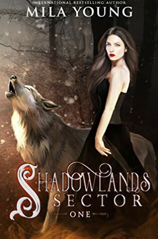Cover of Shadowlands Sector, One
