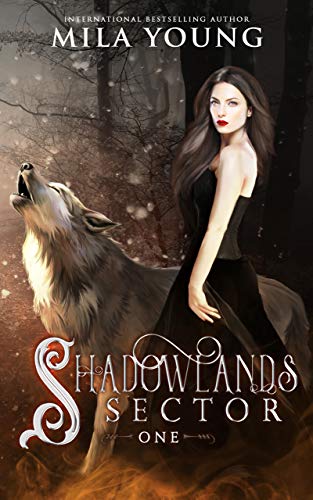 Book cover for Shadowlands Sector, One