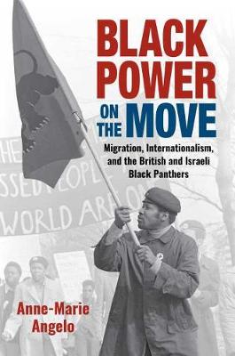 Book cover for Black Power on the Move