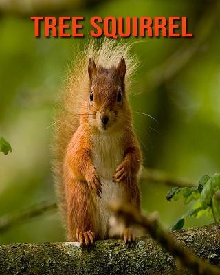 Book cover for Tree Squirrel