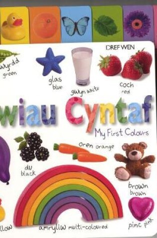 Cover of Fy Lliwiau Cyntaf/My First Colours