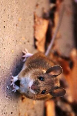 Cover of Cute Little Wood Mouse Journal
