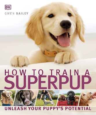 Book cover for How to Train a Superpup