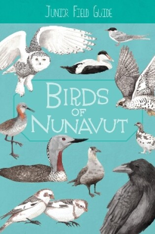 Cover of Junior Field Guide: Birds of Nunavut