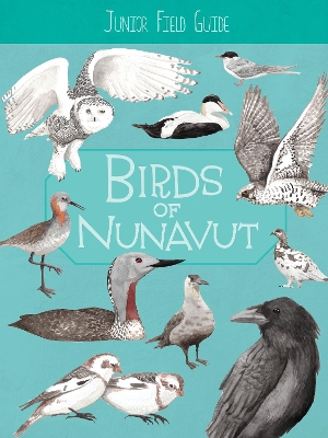 Cover of Junior Field Guide: Birds of Nunavut