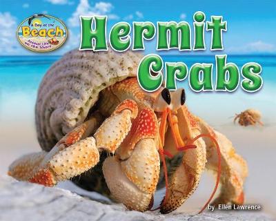 Book cover for Hermit Crabs