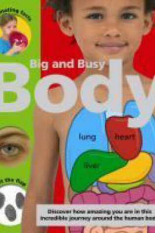 Cover of My Big and Busy Body