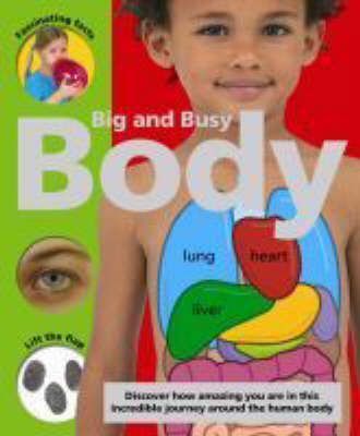 Cover of My Big and Busy Body